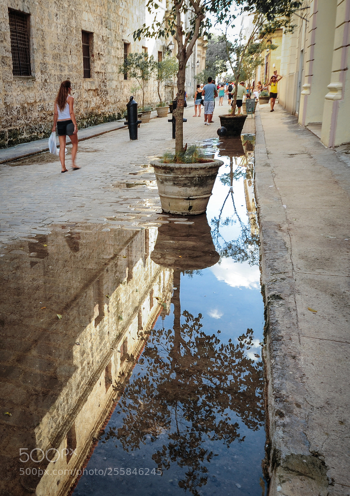 Nikon D700 sample photo. Desire puddle photography