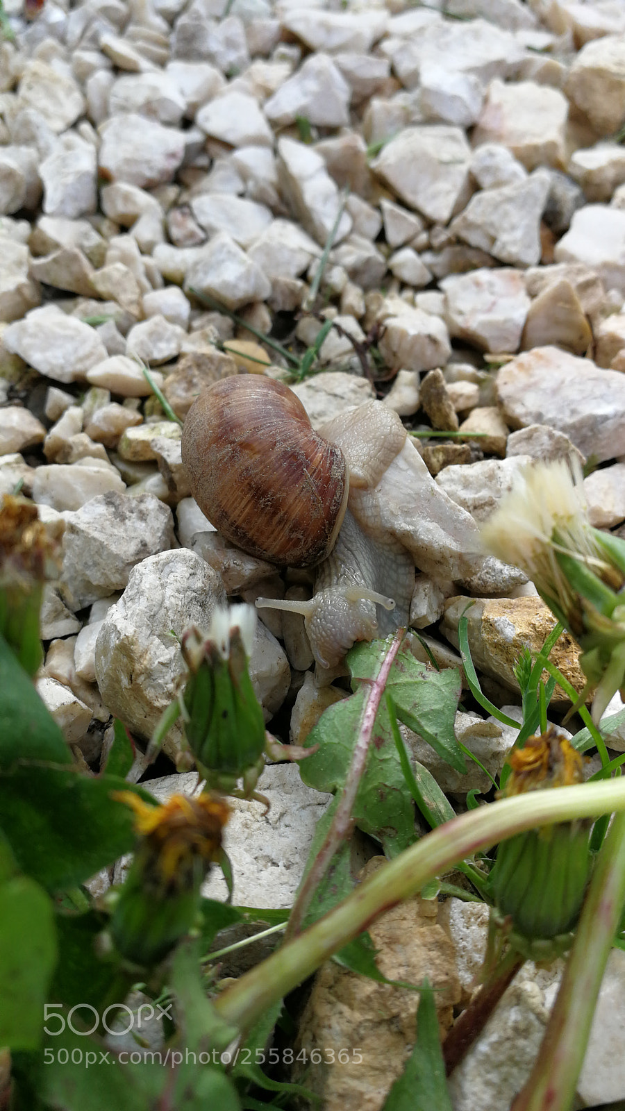 HUAWEI P10 sample photo. Untitled photography