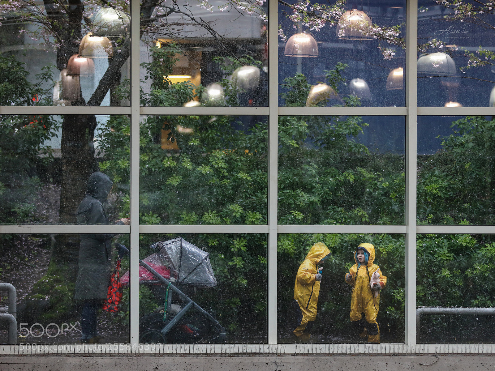 Canon EOS 5DS R sample photo. Raining vancouver photography