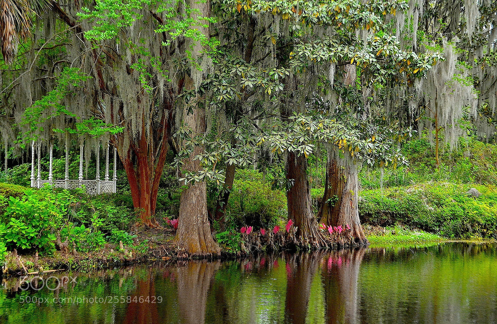 Nikon D5100 sample photo. Serene lake at the photography