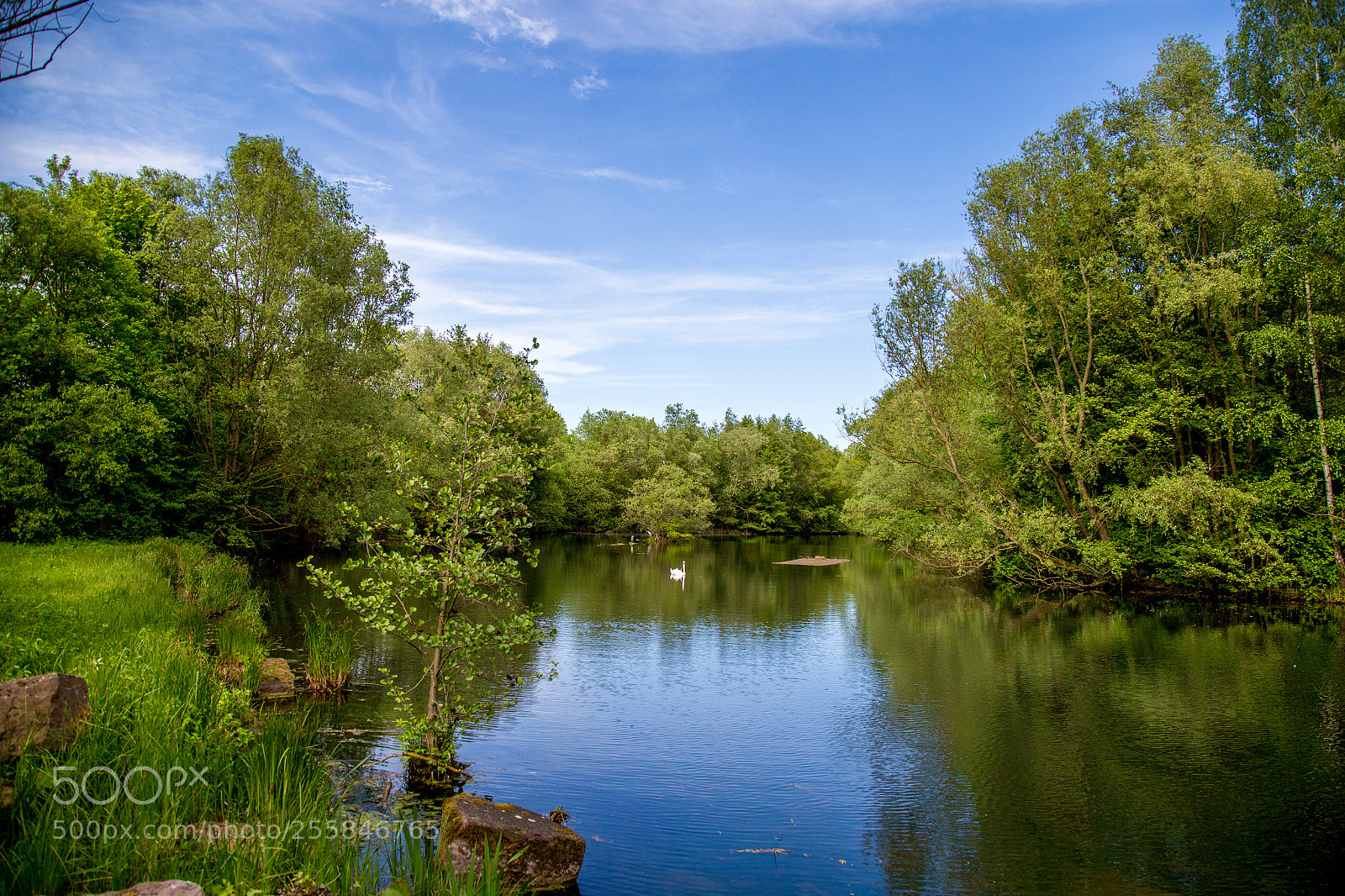 Canon EOS 6D sample photo. Im enzauenpark eutingen photography
