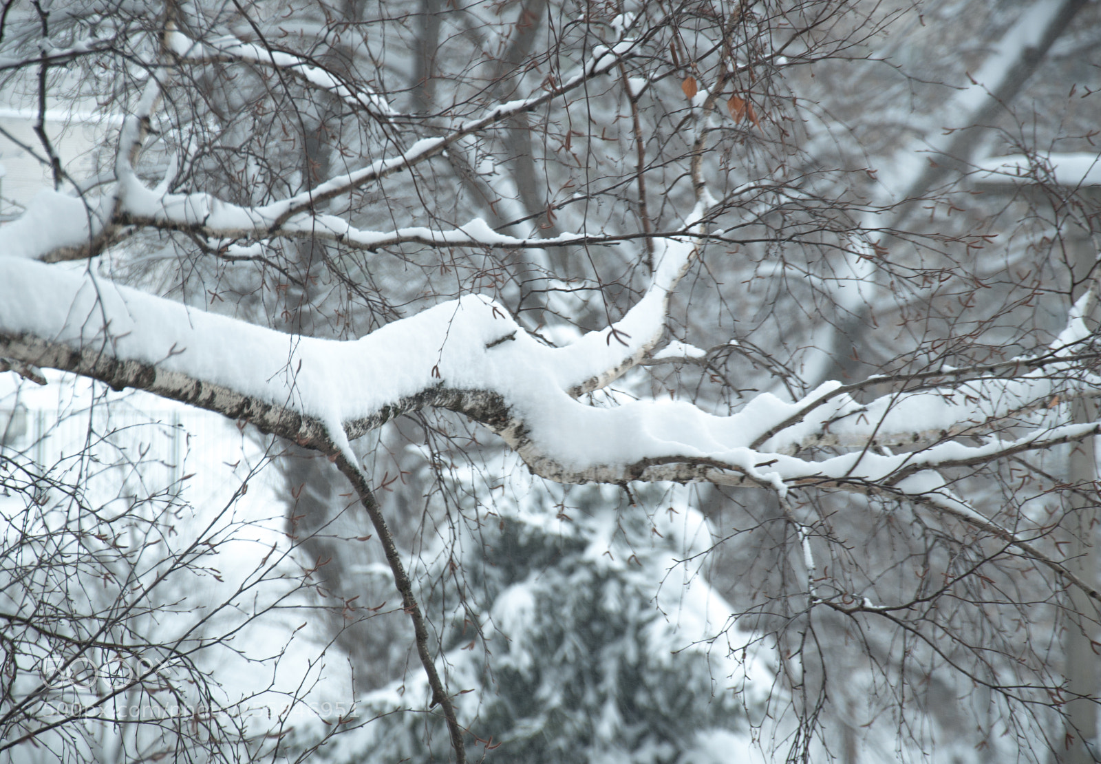 Nikon D5000 sample photo. March evening: window views photography