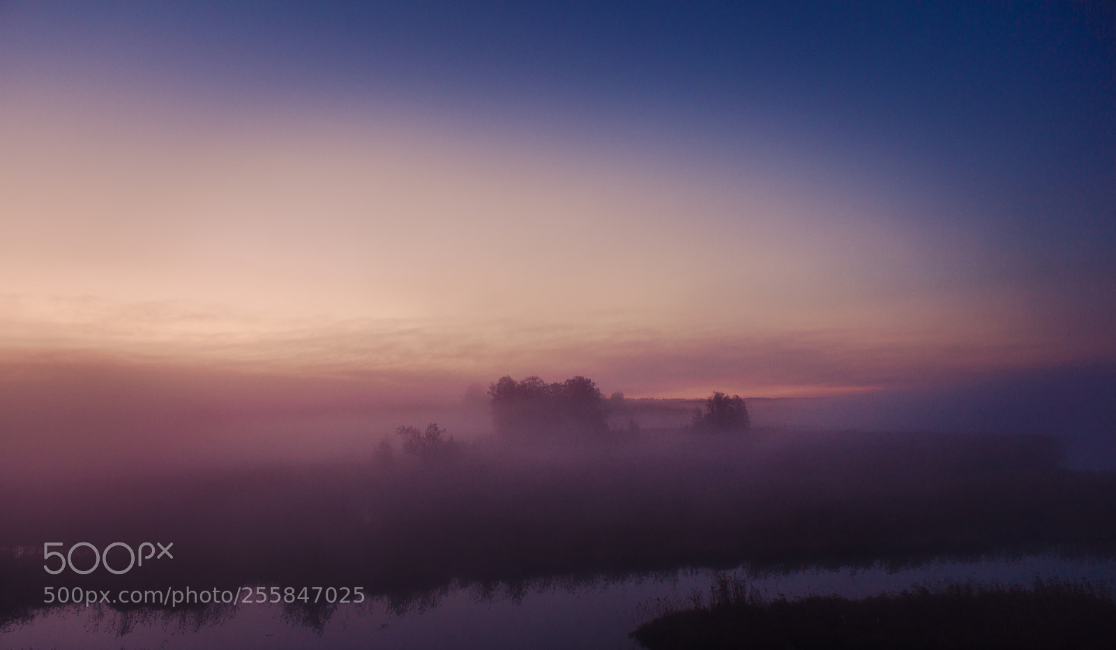 Canon EOS 500D (EOS Rebel T1i / EOS Kiss X3) sample photo. Foggy morning photography