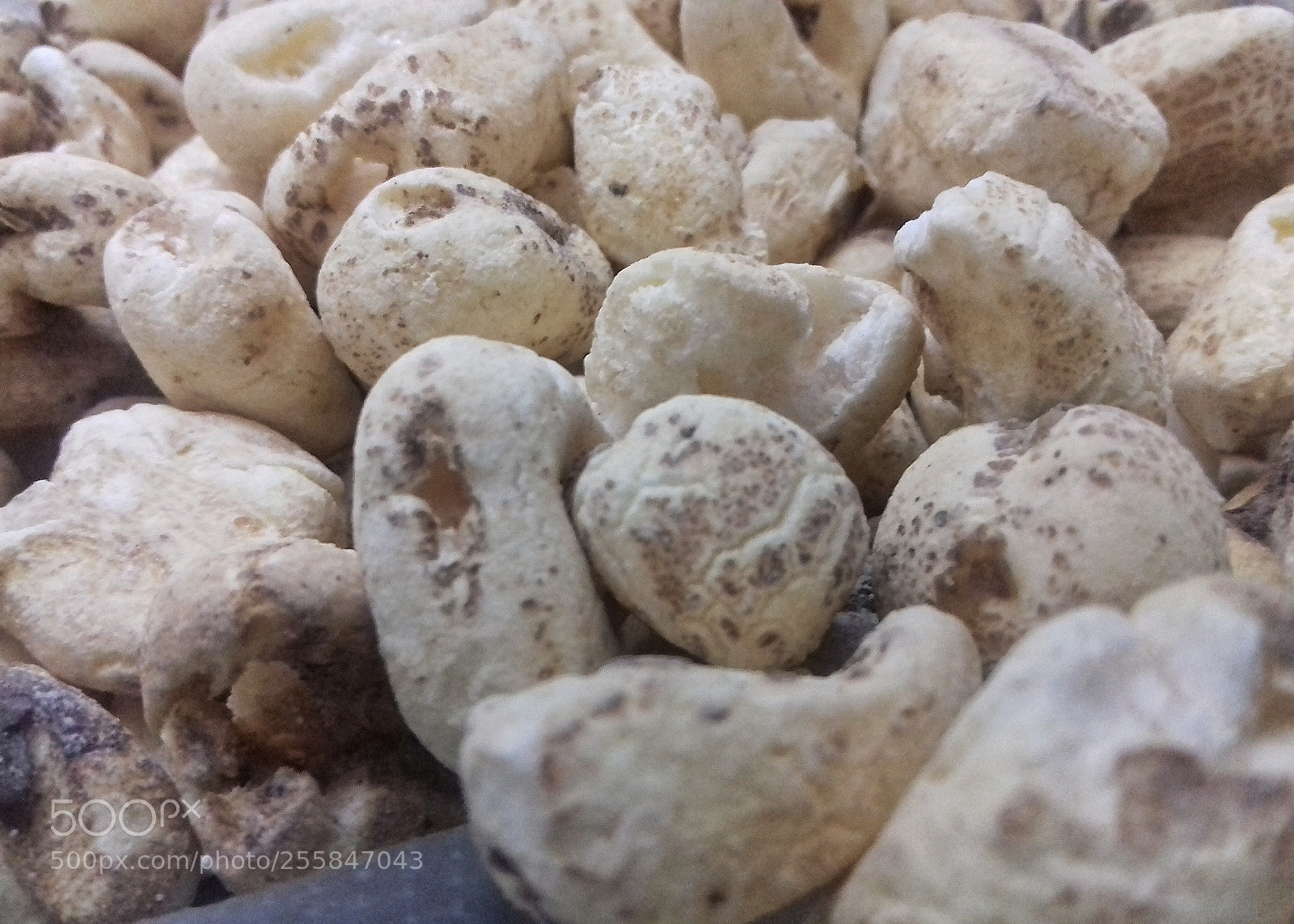 Samsung Galaxy J3(2016) sample photo. Tutuca, maiz inflado, puffed photography