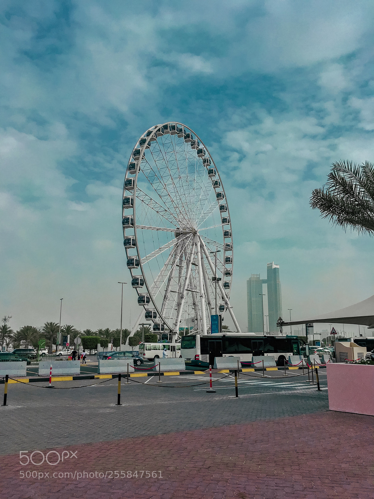 Apple iPhone SE sample photo. Marina eye  photography