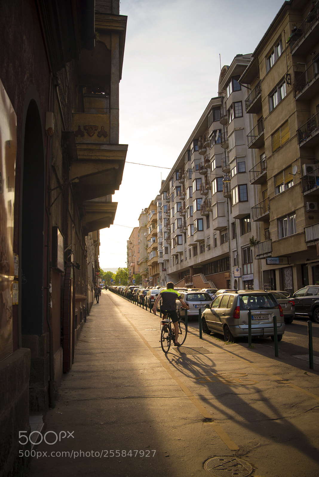 Nikon D600 sample photo. Cyclist photography