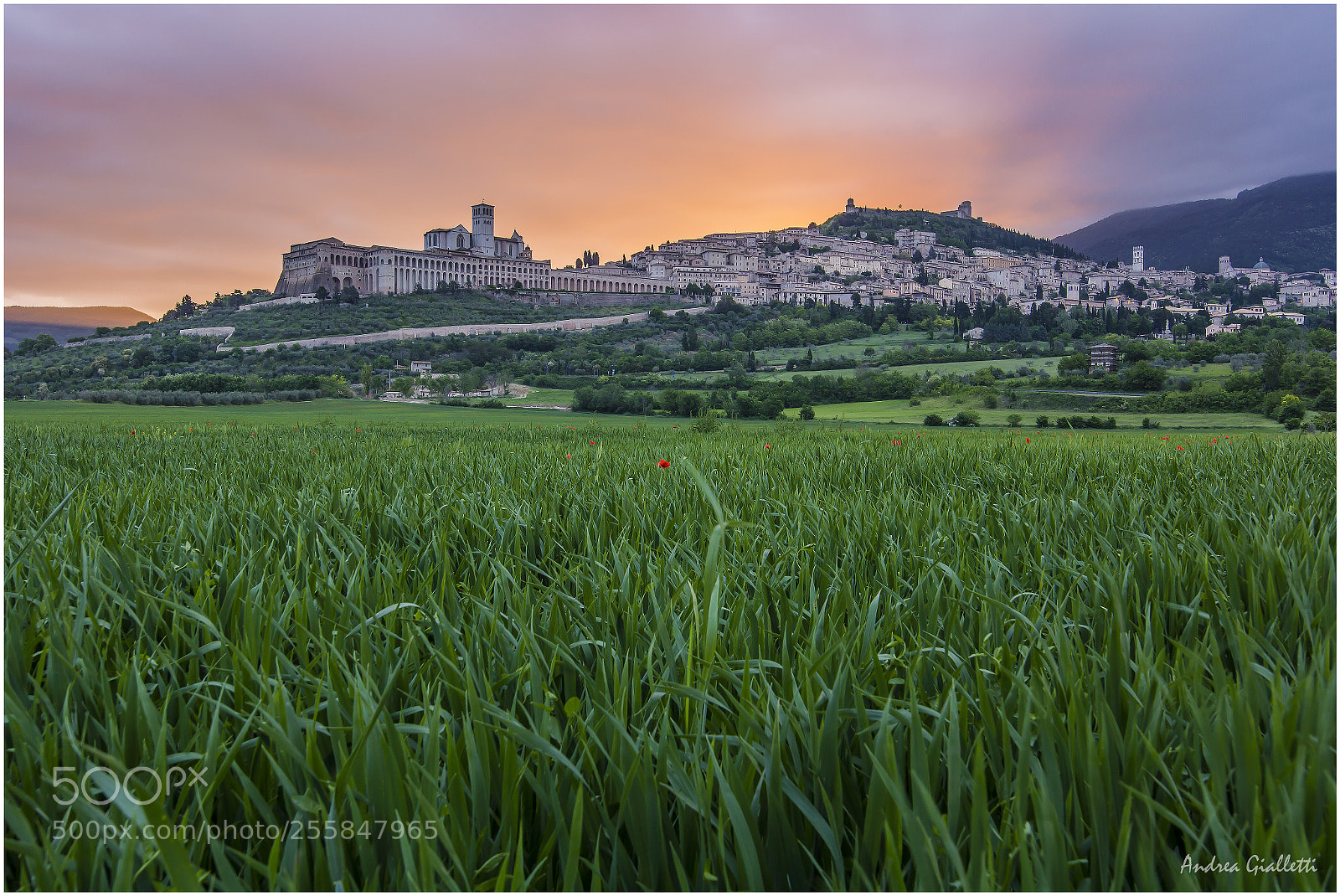Canon EOS 60D sample photo. Assisi all'alba! photography