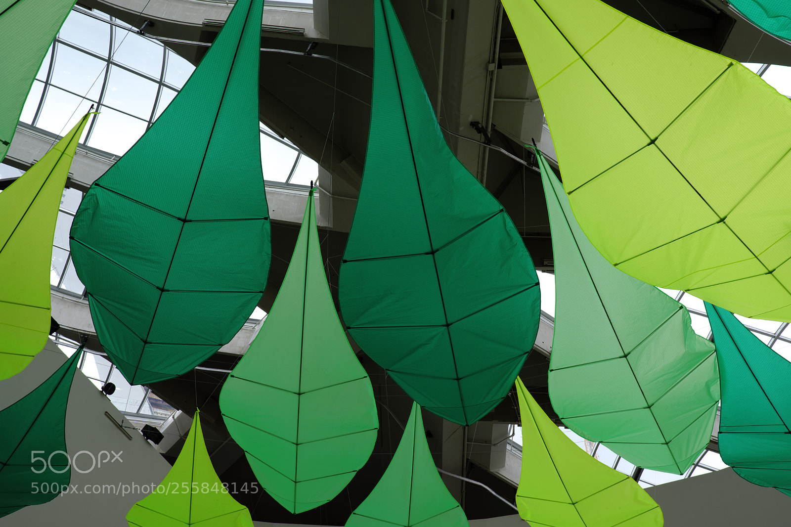 Fujifilm X-T20 sample photo. Bio dome ceiling photography