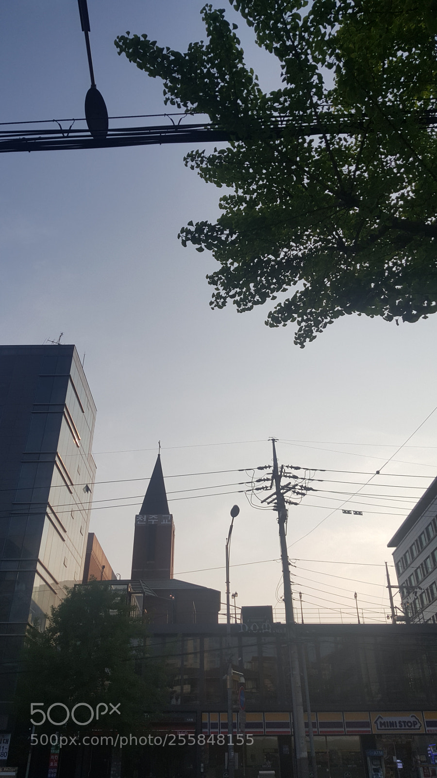Samsung Galaxy Note5 sample photo. Untitled photography