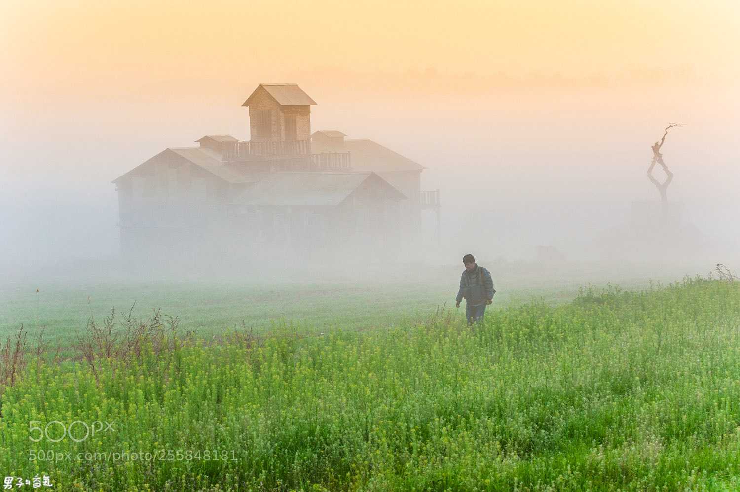 Nikon D700 sample photo. Good morning photography