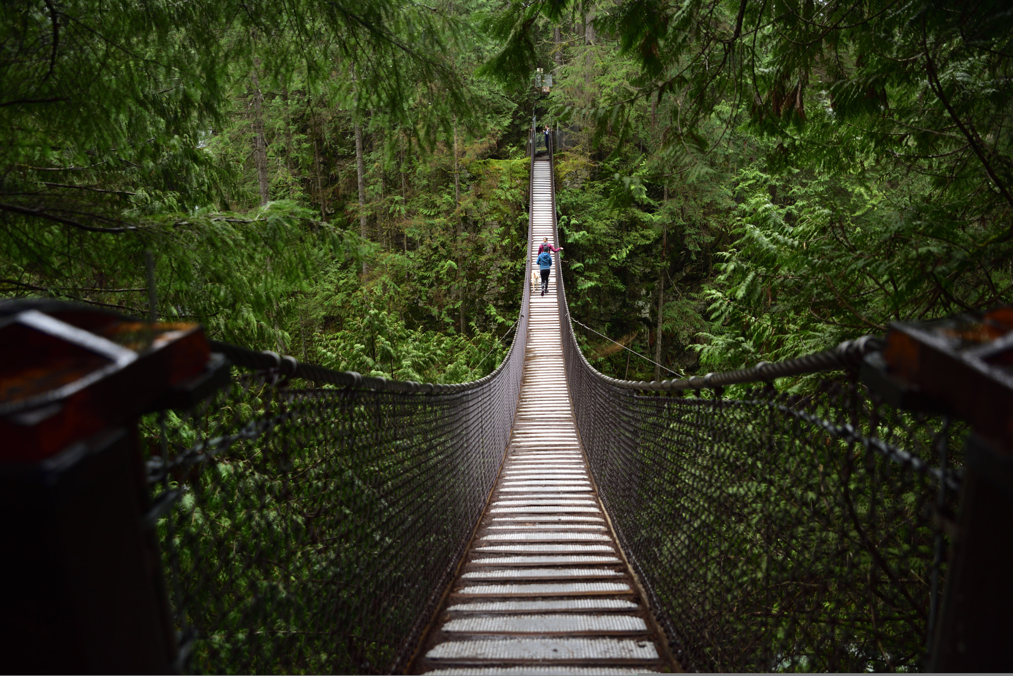 Nikon D810 + Tamron SP 24-70mm F2.8 Di VC USD sample photo. Lynn suspension bridge bc photography