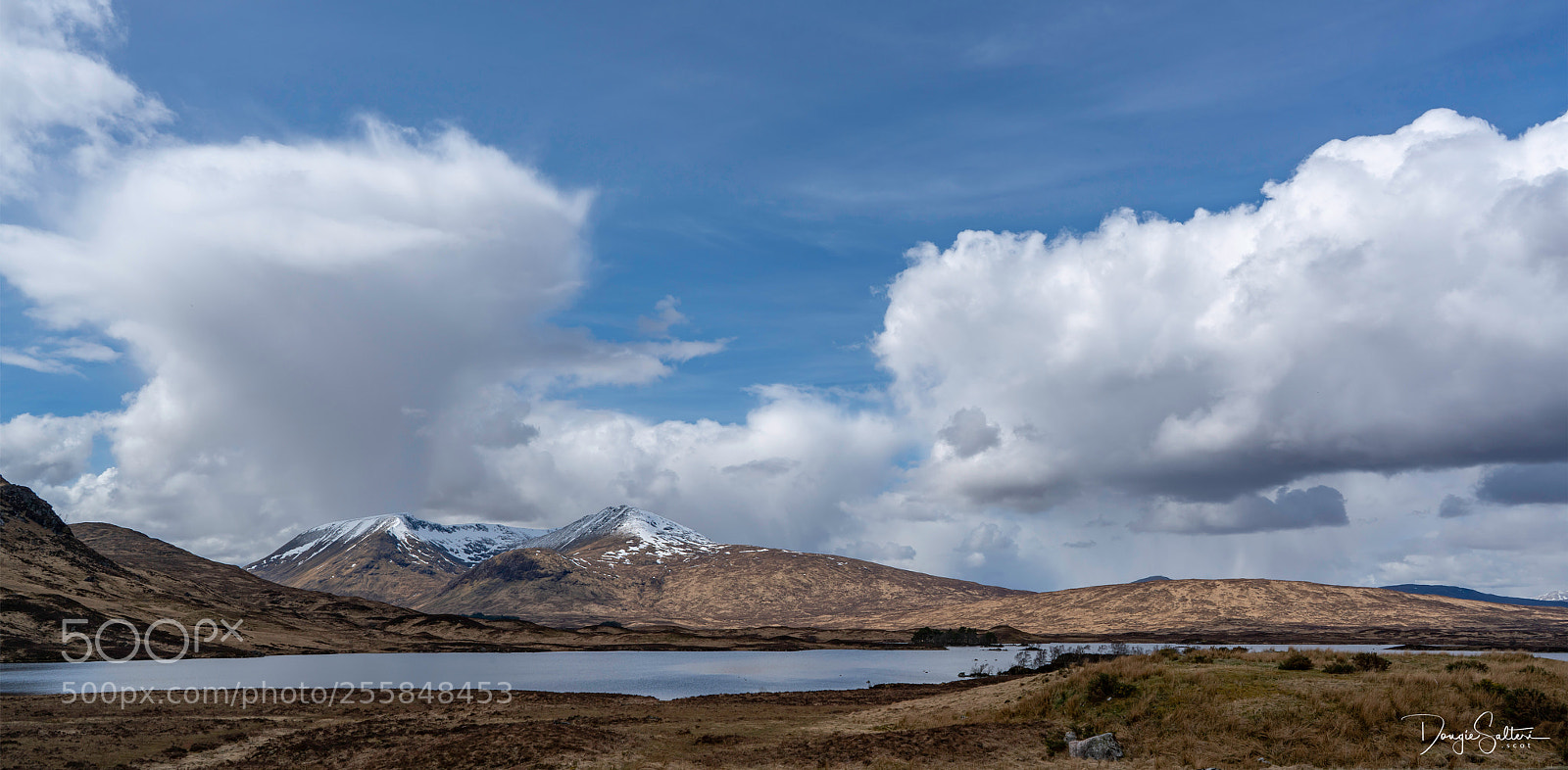 Sony a7R II sample photo. Black mount... photography
