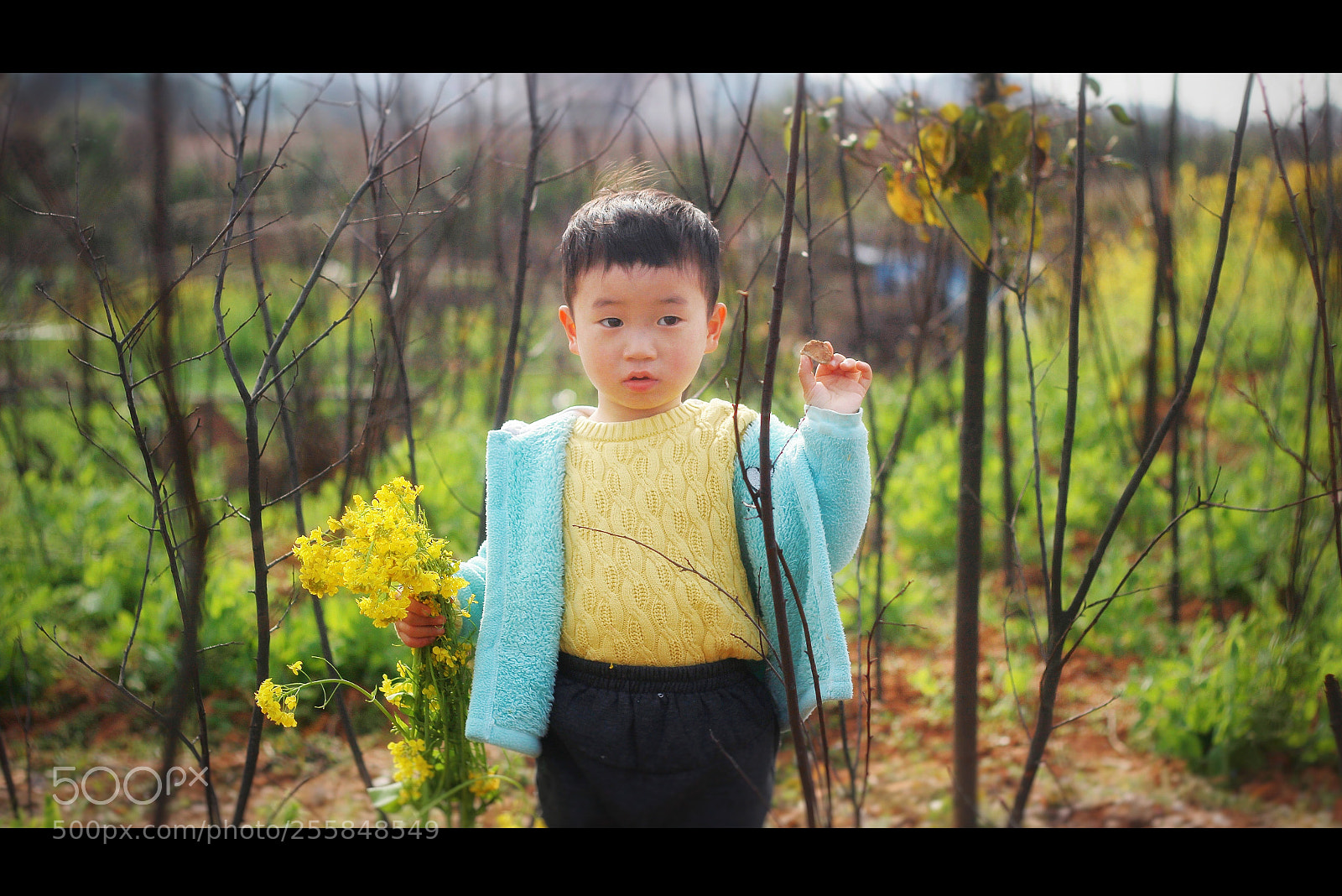 Canon EOS 600D (Rebel EOS T3i / EOS Kiss X5) sample photo. Child photography