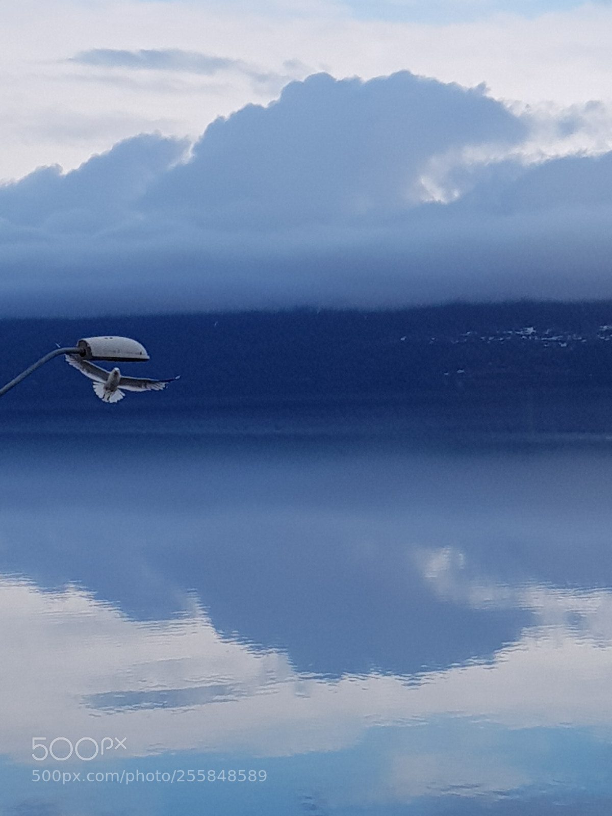 Samsung Galaxy S8 sample photo. Blue reflection photography