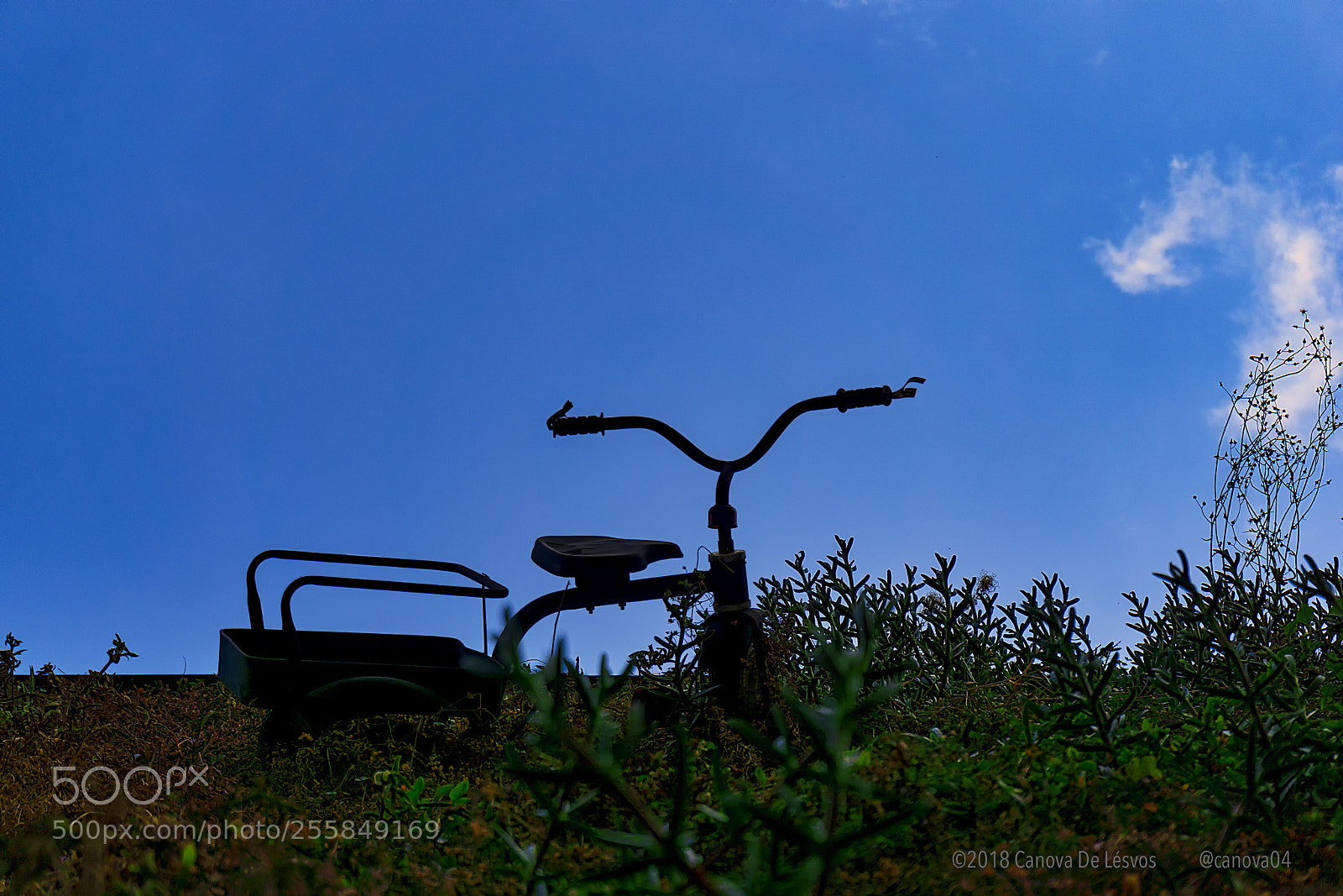 Sony a6000 sample photo. Where do the children photography