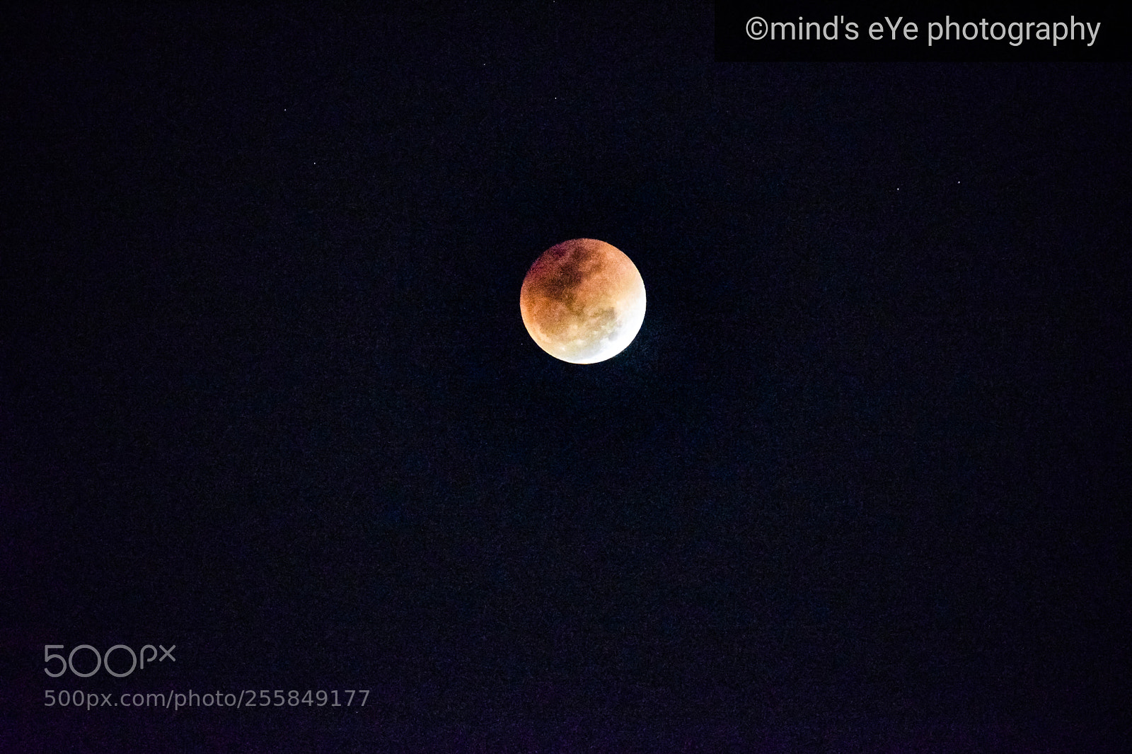 Nikon D3300 sample photo. Blue moon day photography