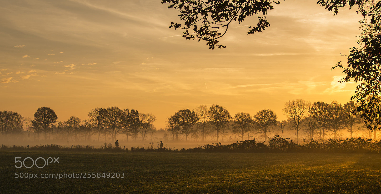 Nikon D800 sample photo. Morning photography