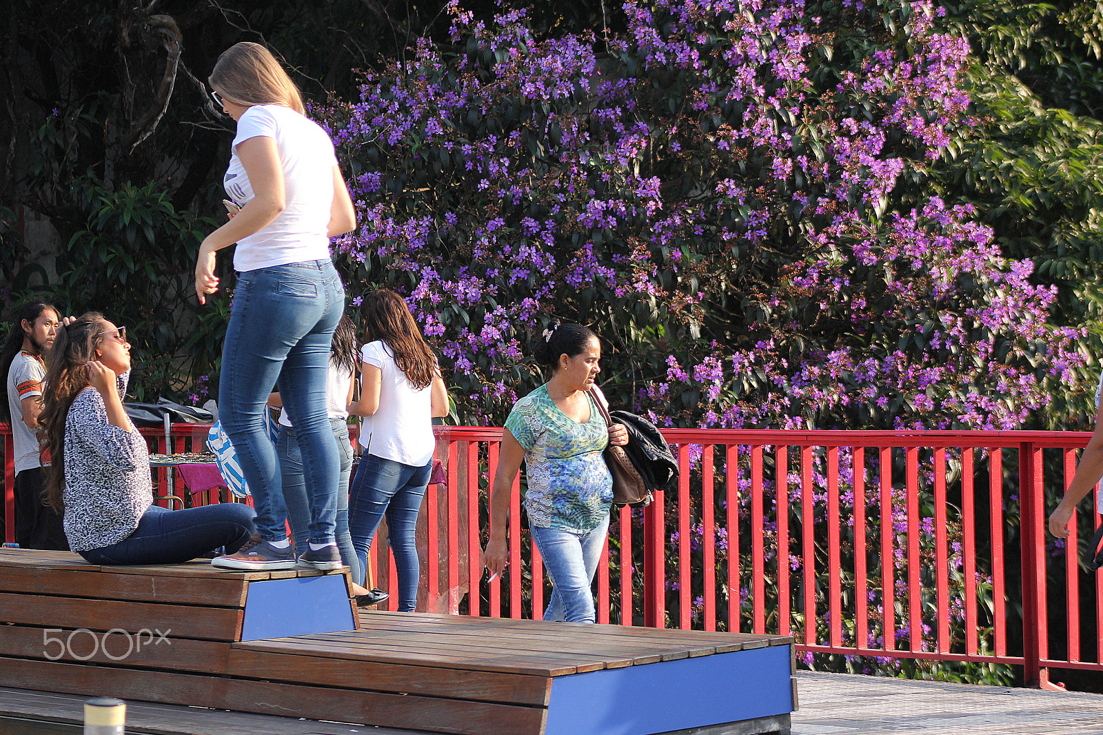 Canon EOS 550D (EOS Rebel T2i / EOS Kiss X4) sample photo. Liberdade photography