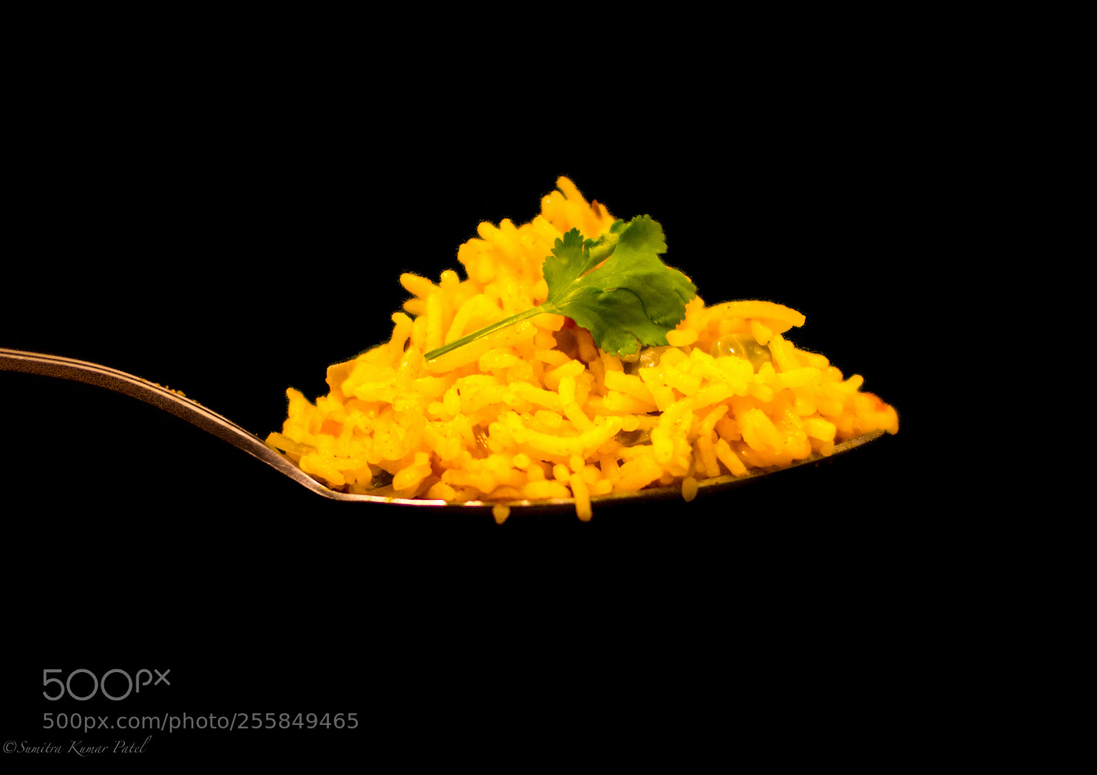 Nikon D7200 sample photo. Pulao photography
