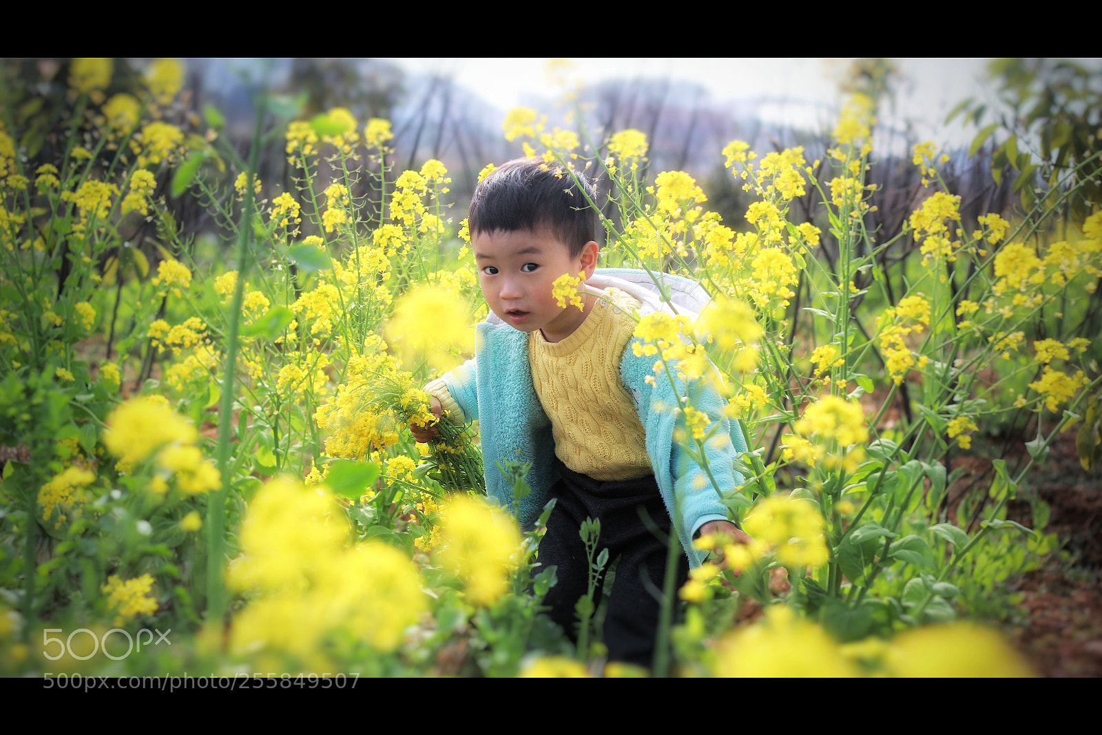 Canon EOS 600D (Rebel EOS T3i / EOS Kiss X5) sample photo. I see you photography