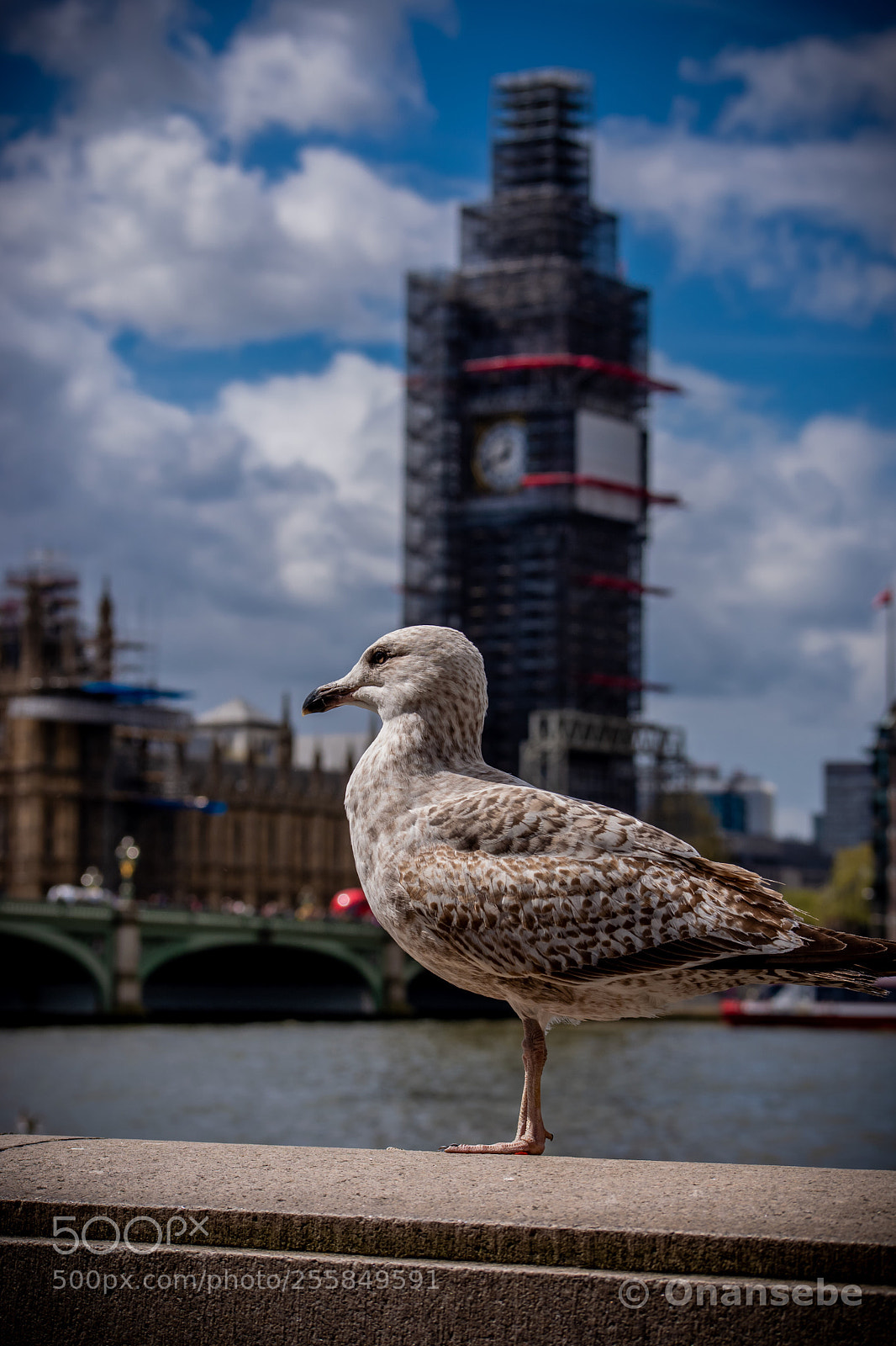 Nikon D5200 sample photo. Big ben photography