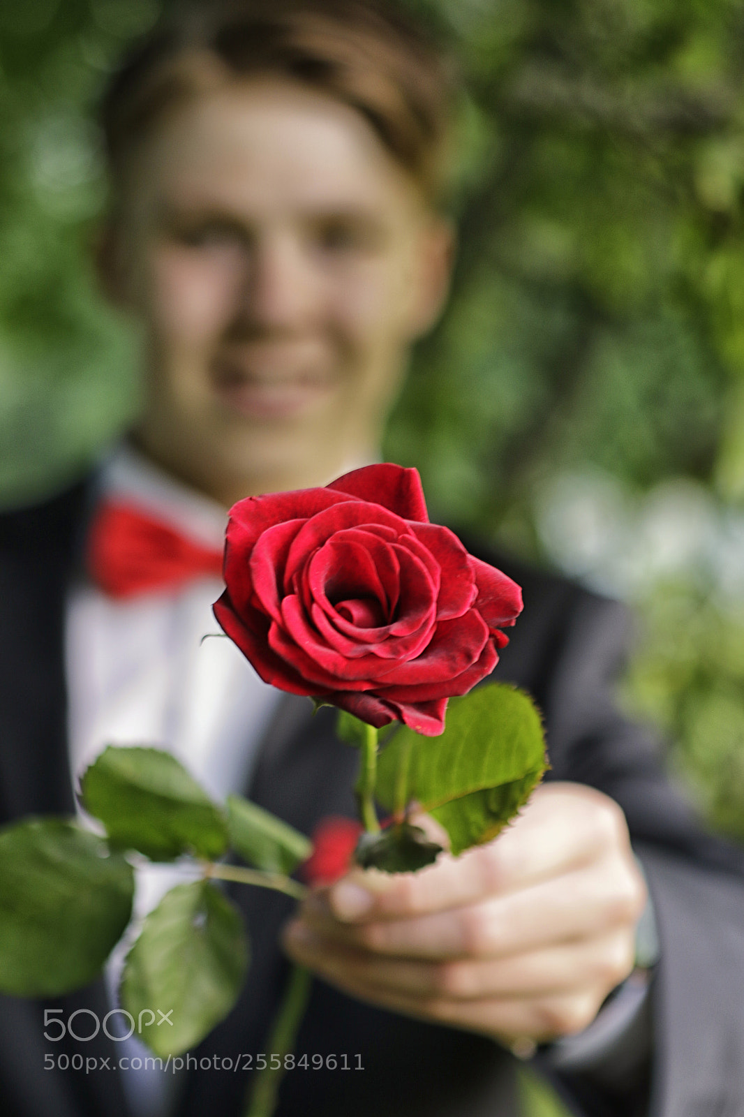 Canon EOS 7D Mark II sample photo. Rose photography