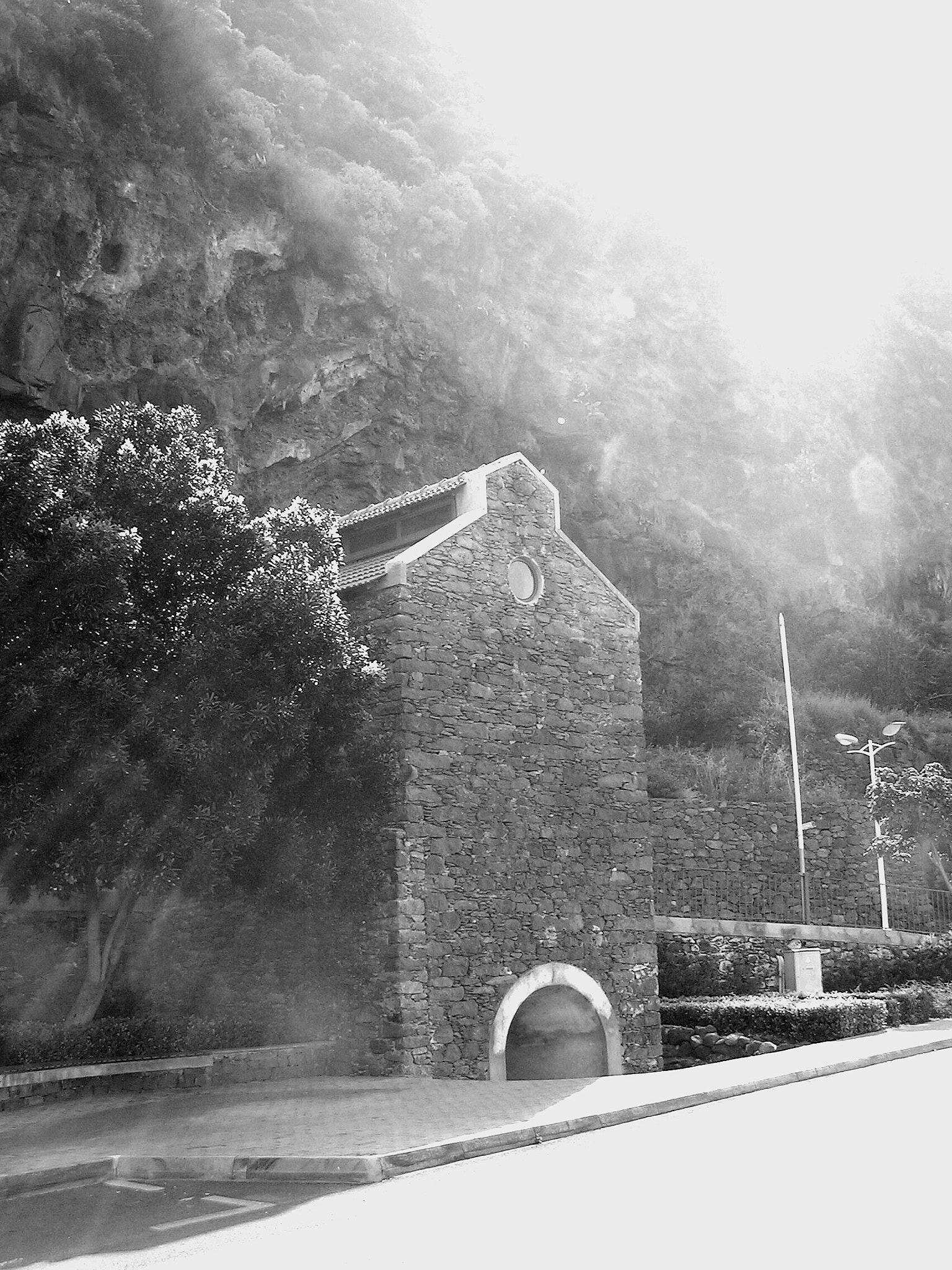KONICA MINOLTA DiMAGE Z2 sample photo. Feeling the sun photography