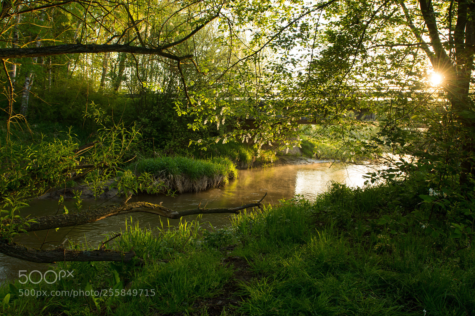 Nikon D7200 sample photo. Sun on the river photography