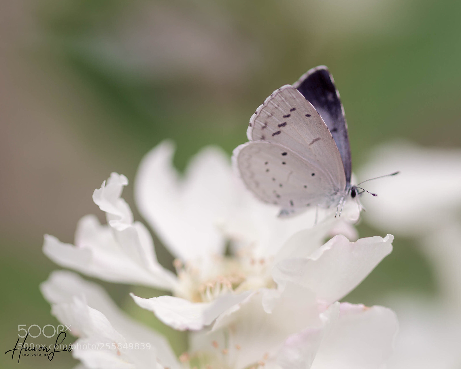 Canon EOS 6D sample photo. Untitled photography