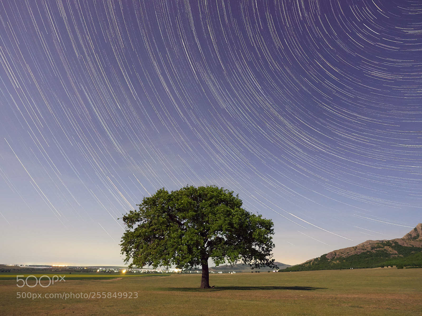 Olympus OM-D E-M1 sample photo. Stars trails photography