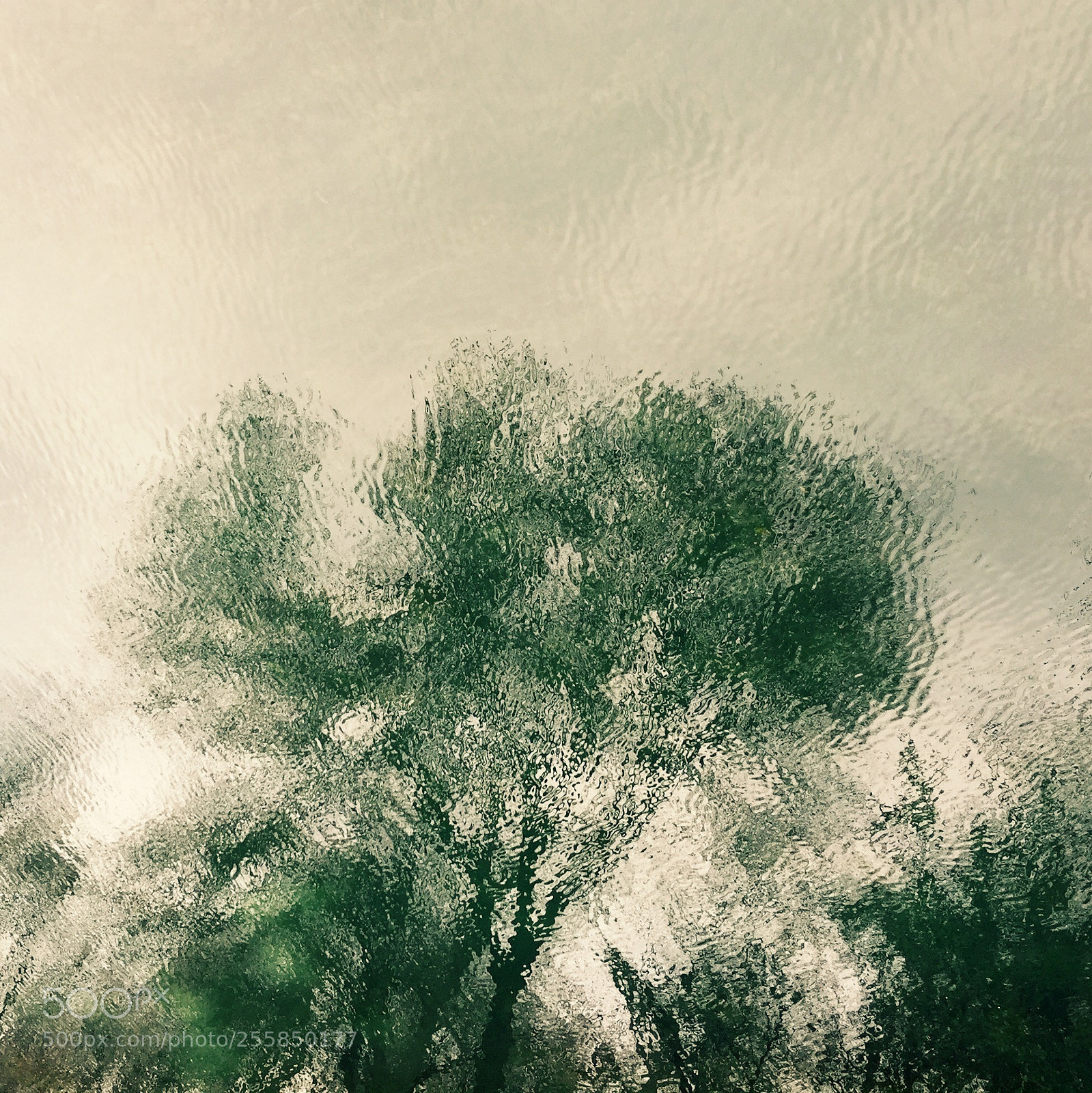 Apple iPhone 6 sample photo. Untitled photography