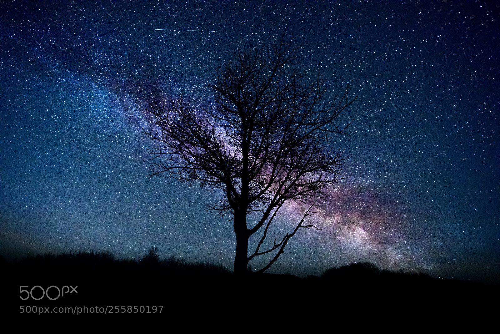 Canon EOS 5D Mark IV sample photo. Milky way photography