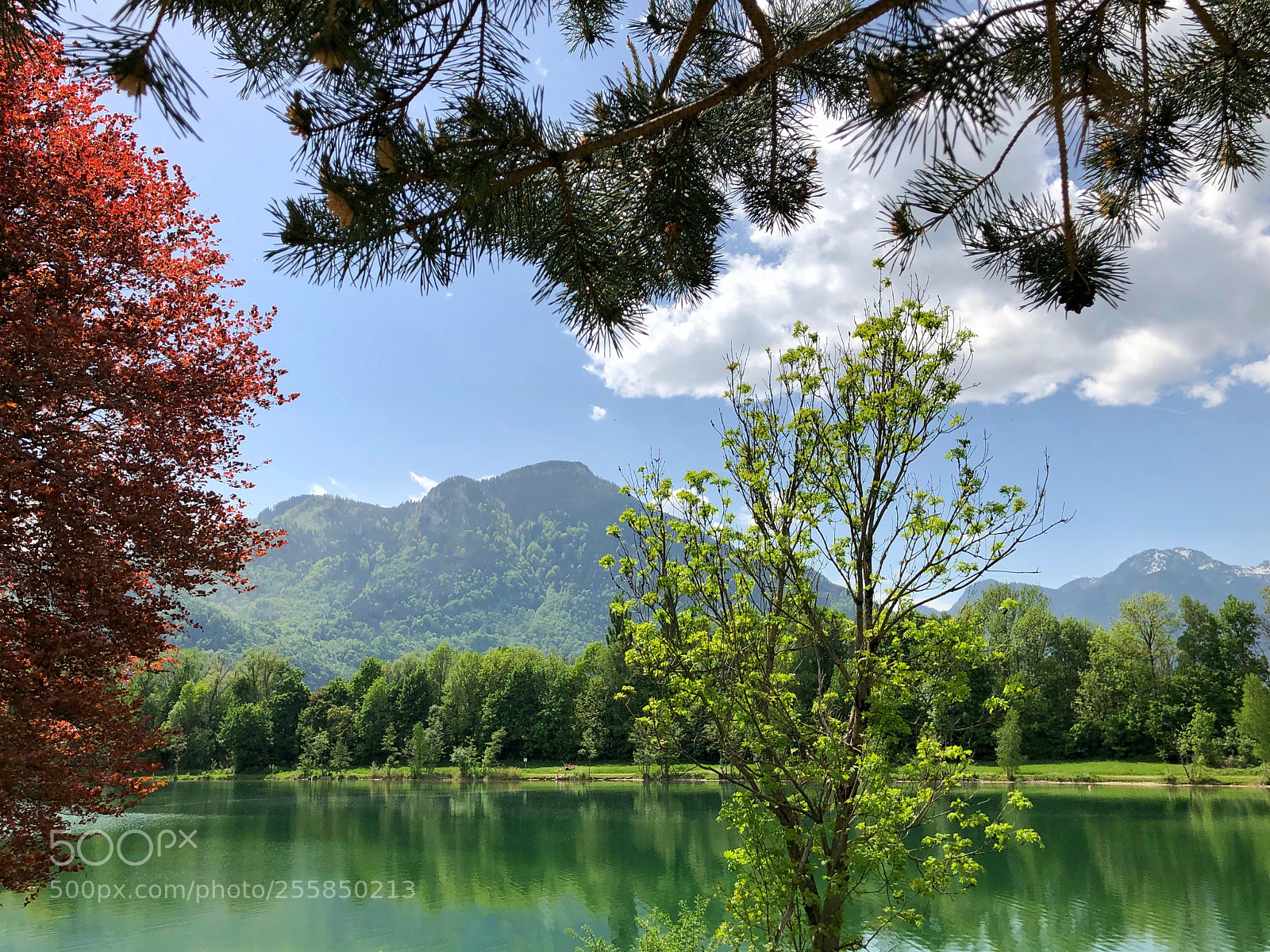 Apple iPhone X sample photo. Весенний день  photography