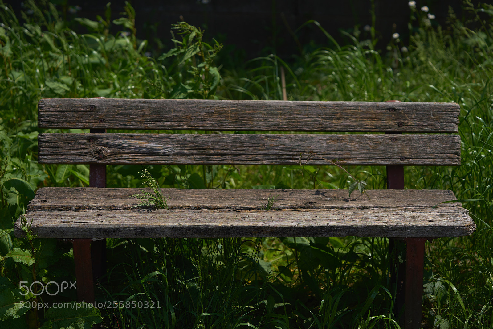 Sony a7 sample photo. Street 300 photography