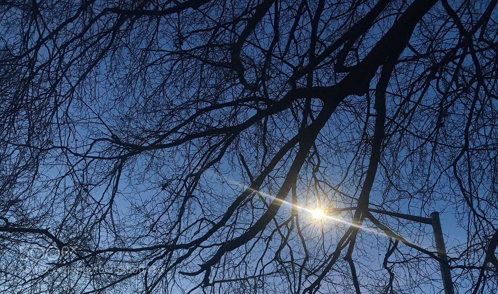 Apple iPhone 6s sample photo. Untitled photography