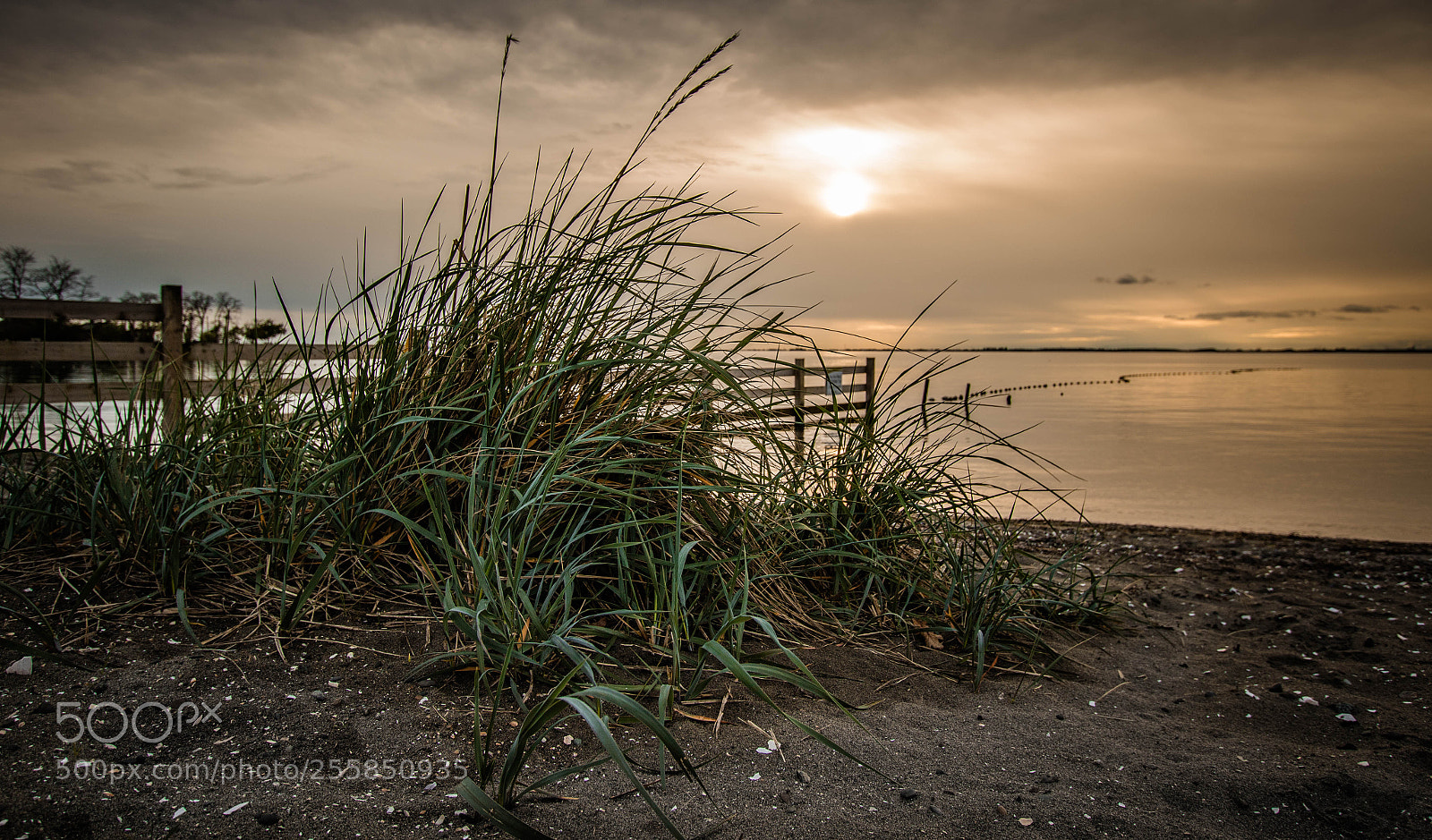 Canon EOS 7D Mark II sample photo. W a l l photography