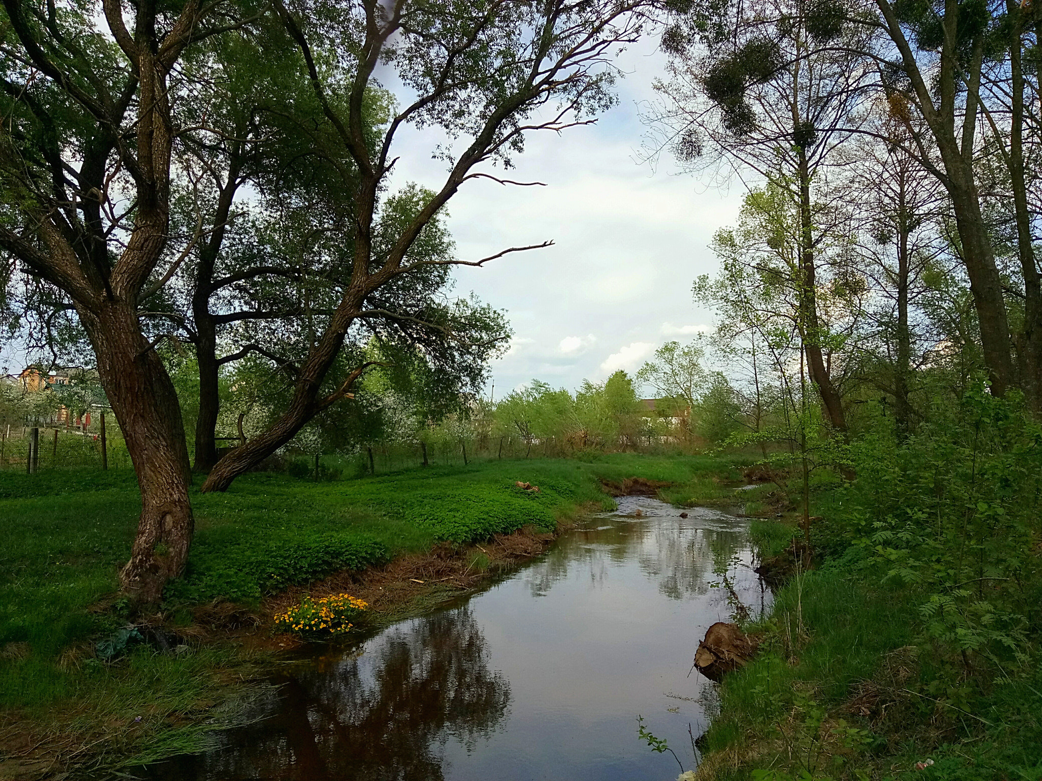 Meizu U20 sample photo