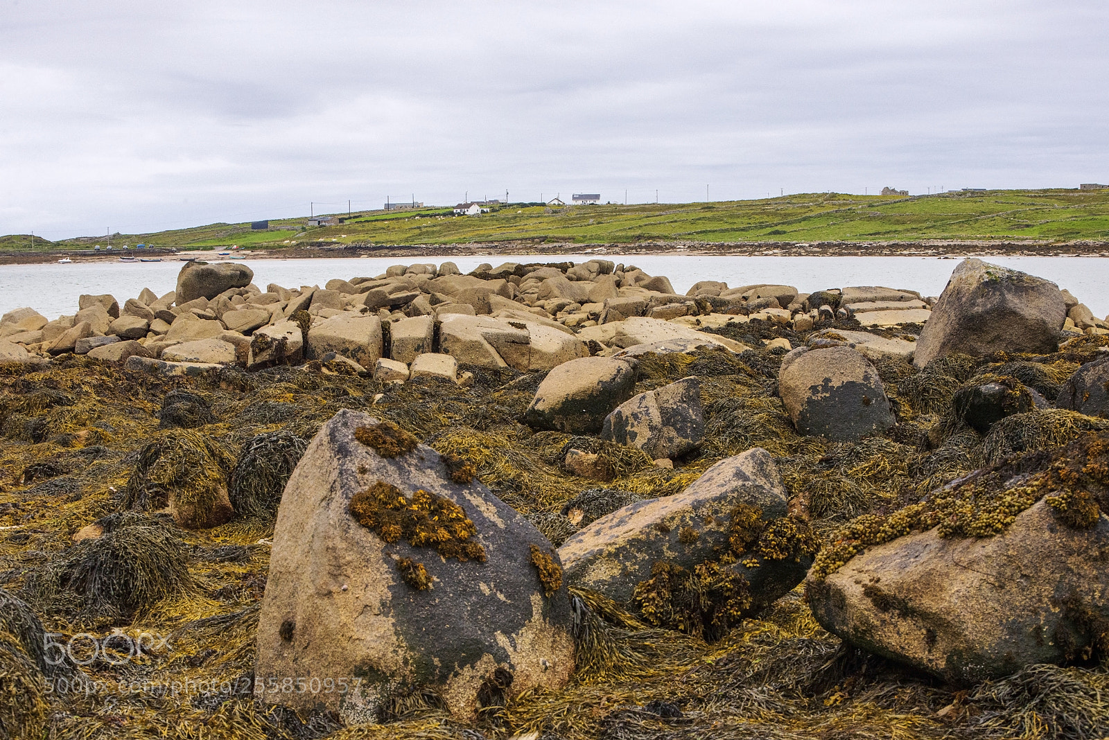 Nikon D600 sample photo. Rocky view (1) photography