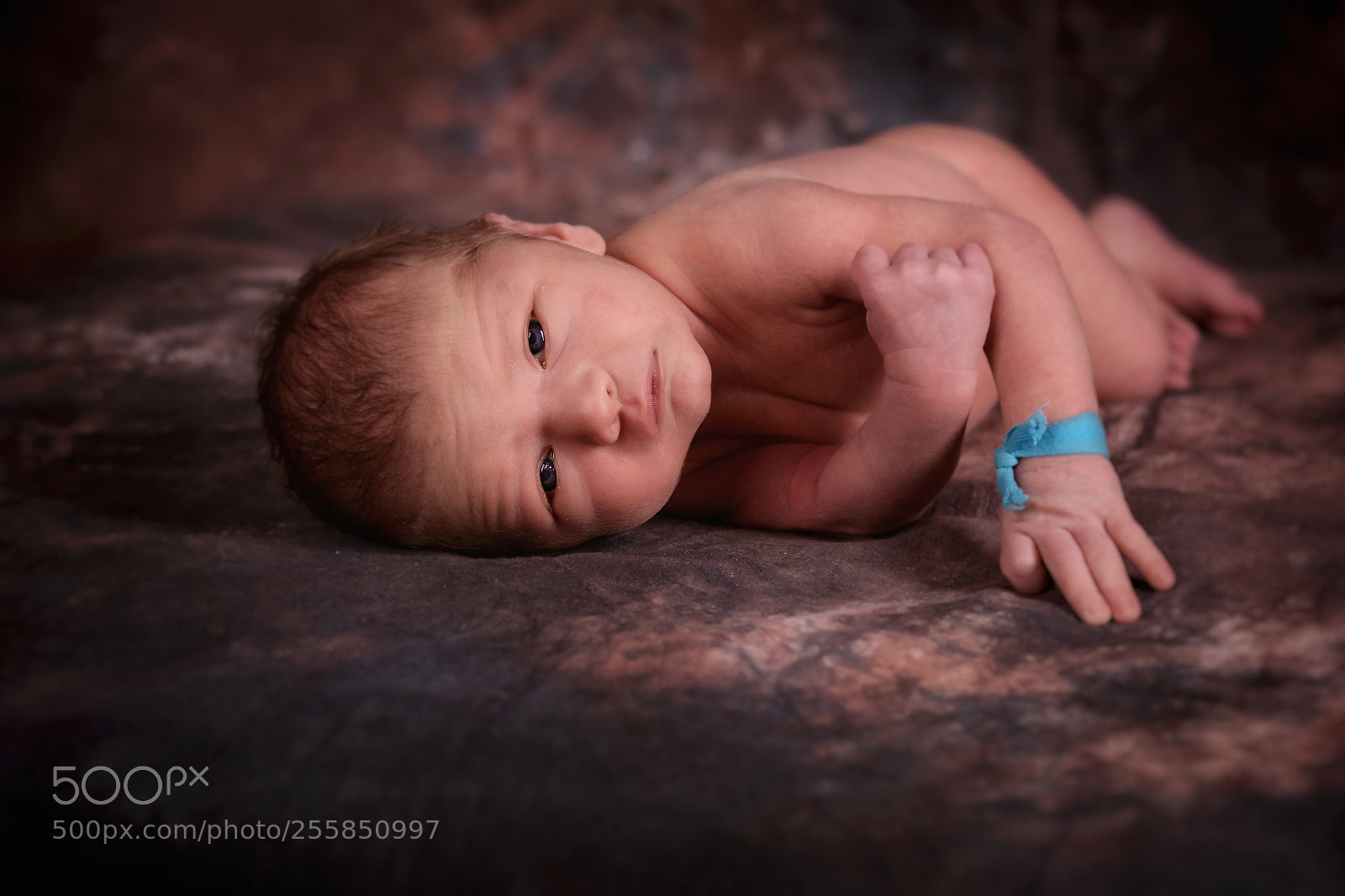 Nikon D7100 sample photo. Untitled photography