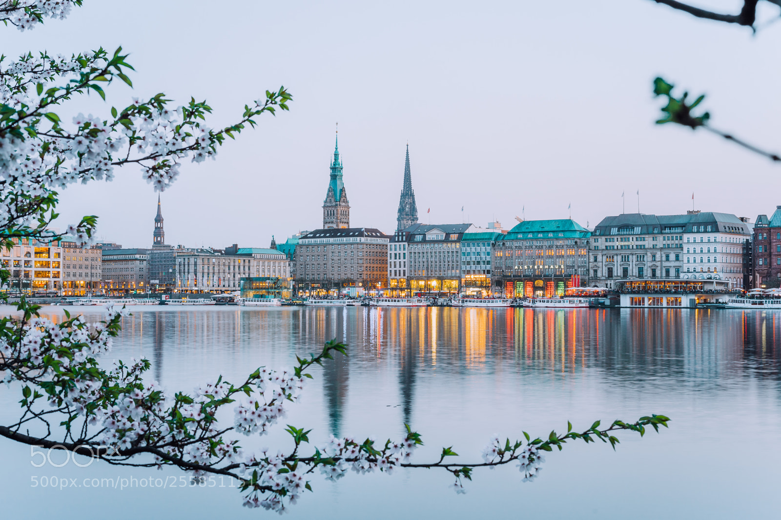 Sony a7 II sample photo. Beautiful view of hamburg photography