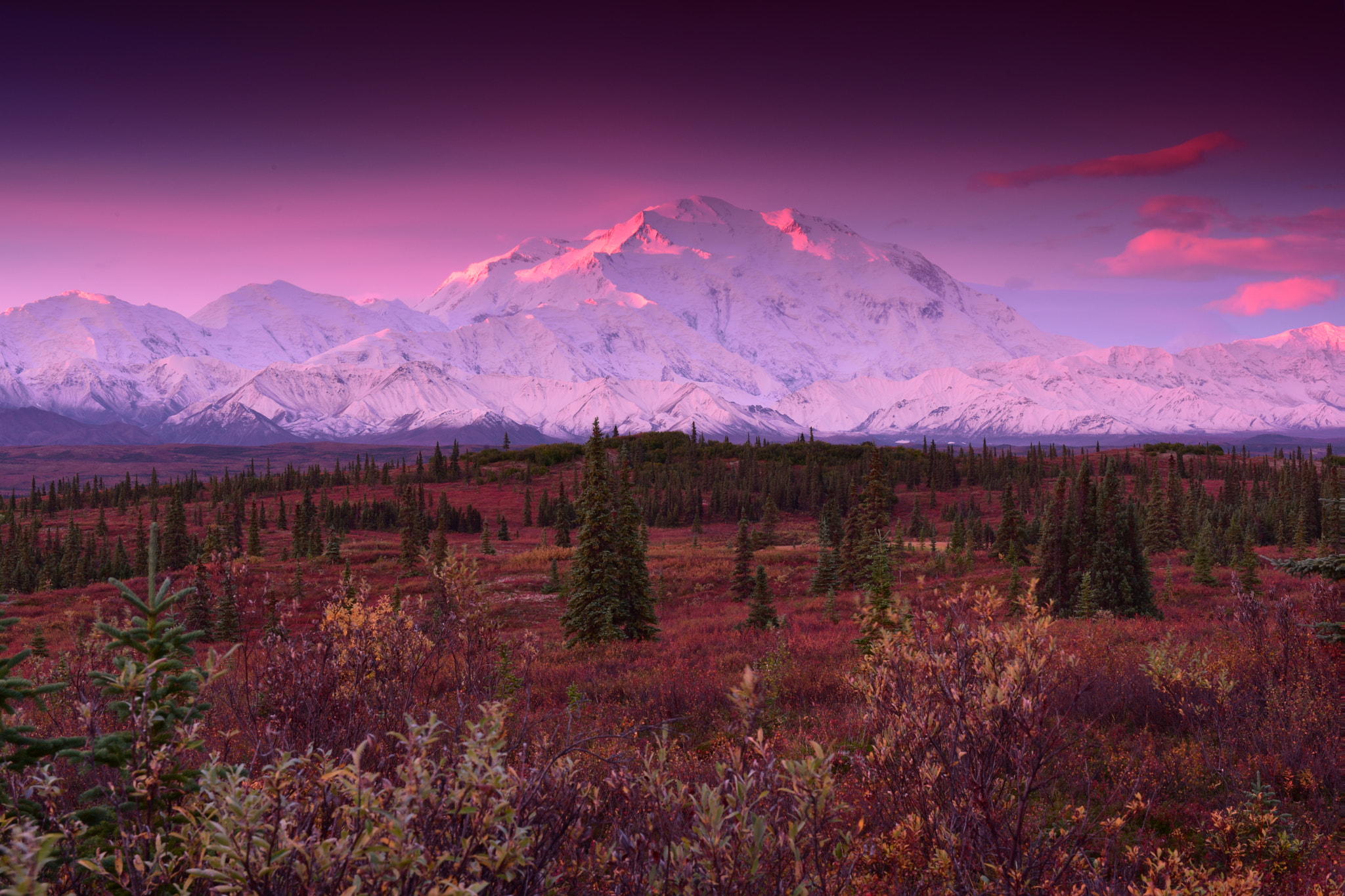 Nikon AF-S Nikkor 24-70mm F2.8G ED sample photo. Alpenglow at mt. denali photography
