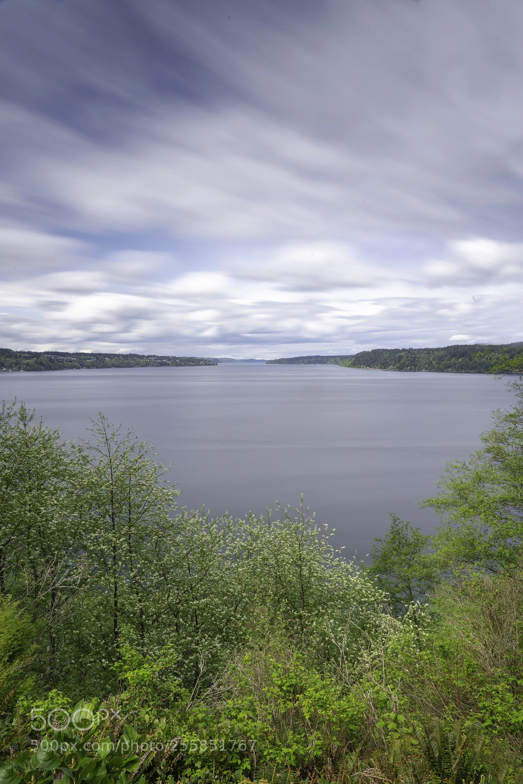 Sony a7R III sample photo. Puget sound view photography