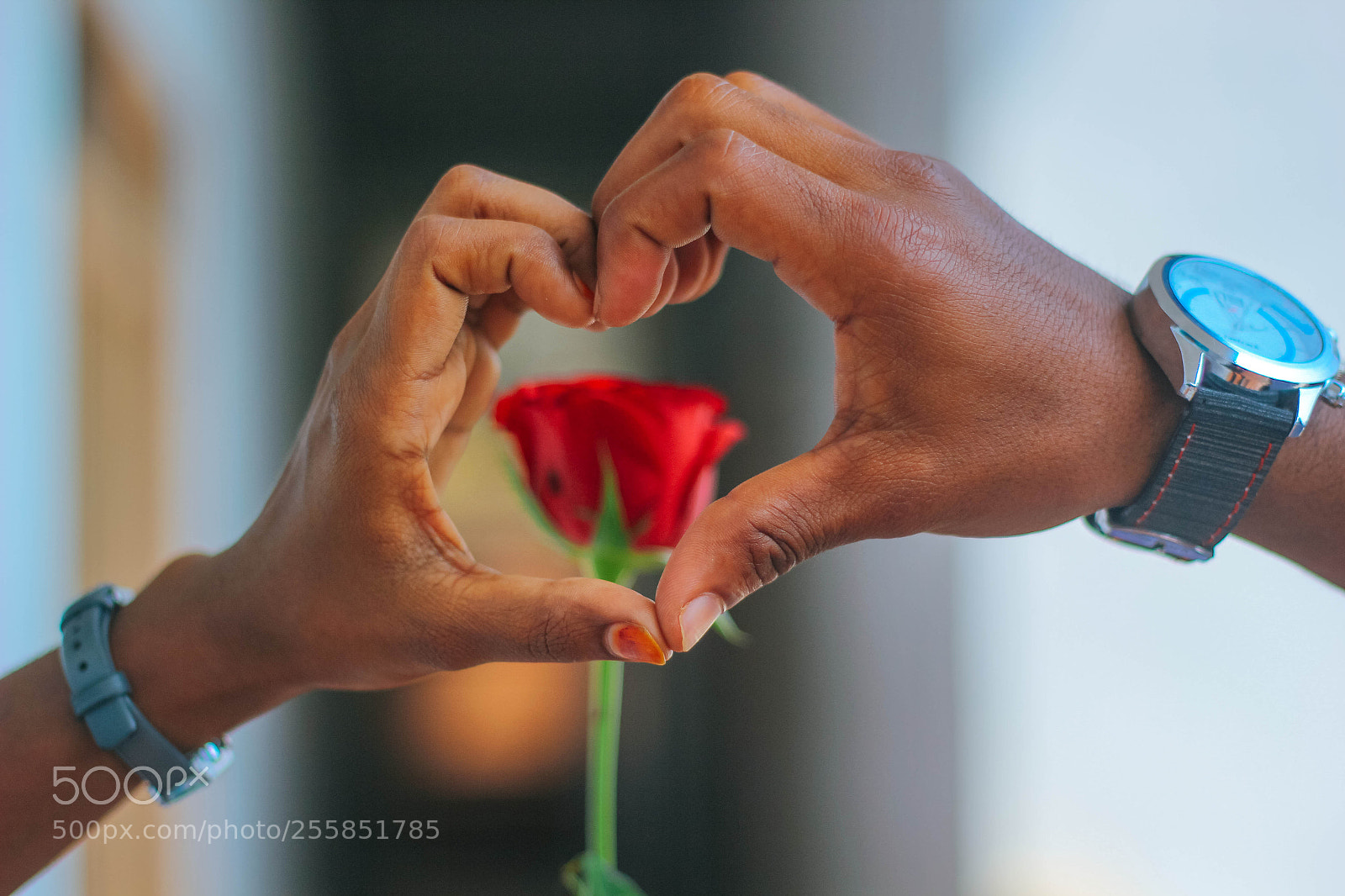 Canon EOS 60D sample photo. Red photography