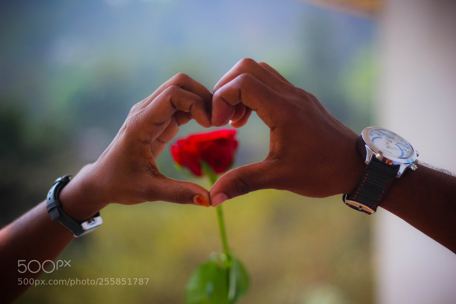 Canon EOS 60D sample photo. Red photography