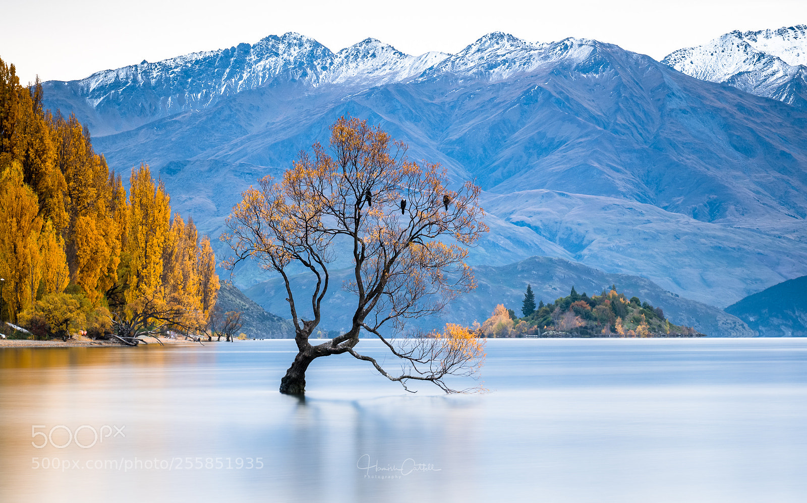 Fujifilm X-T2 sample photo. Wanaka in autumn photography