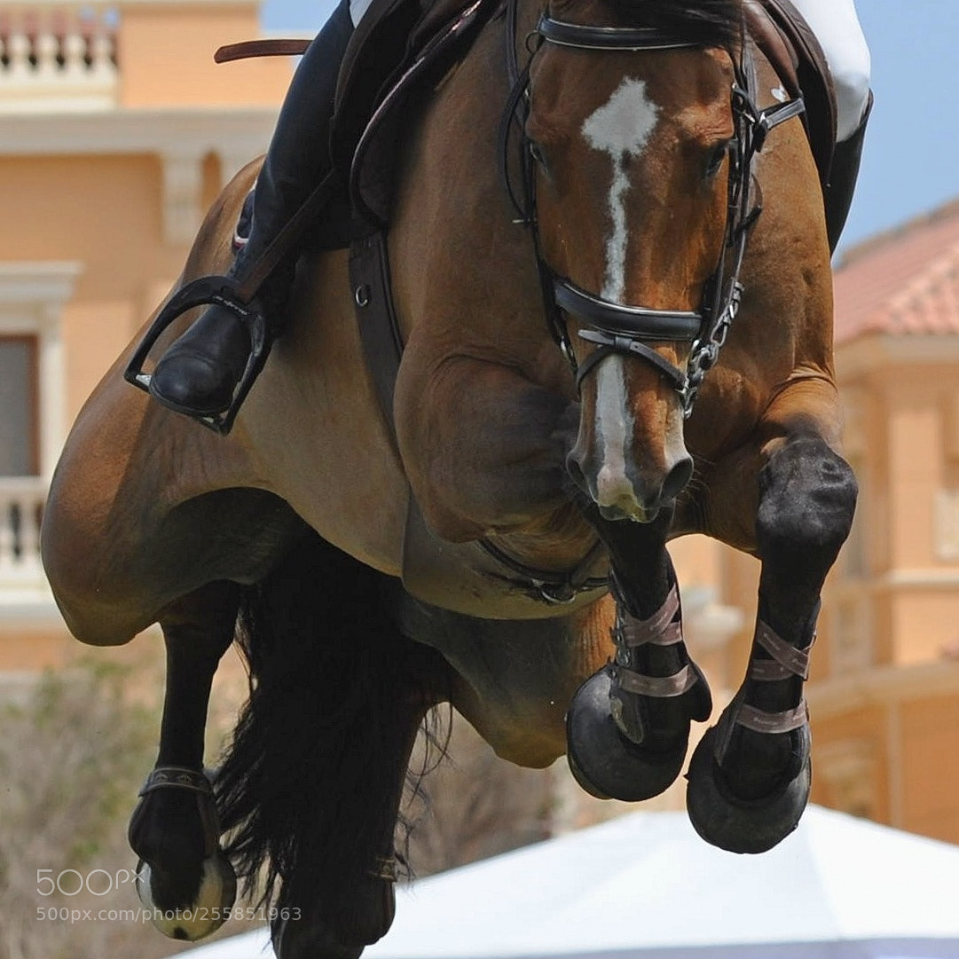 Nikon D700 sample photo. Power photography