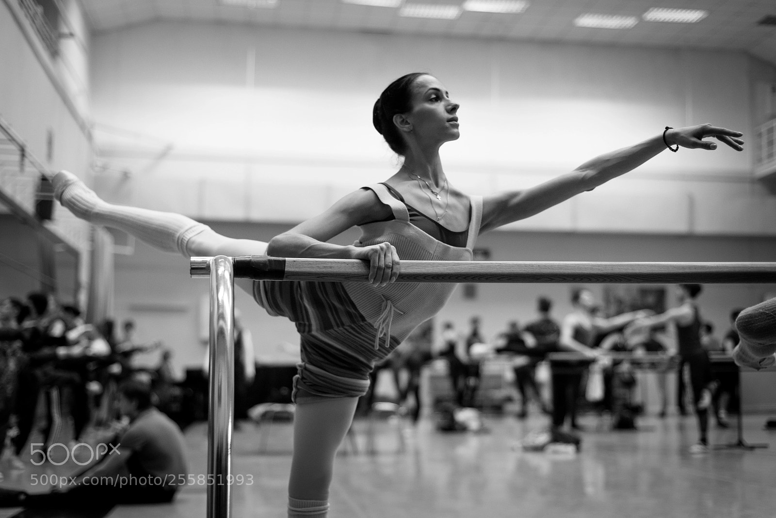 Nikon D610 sample photo. Екатерина Лихова photography