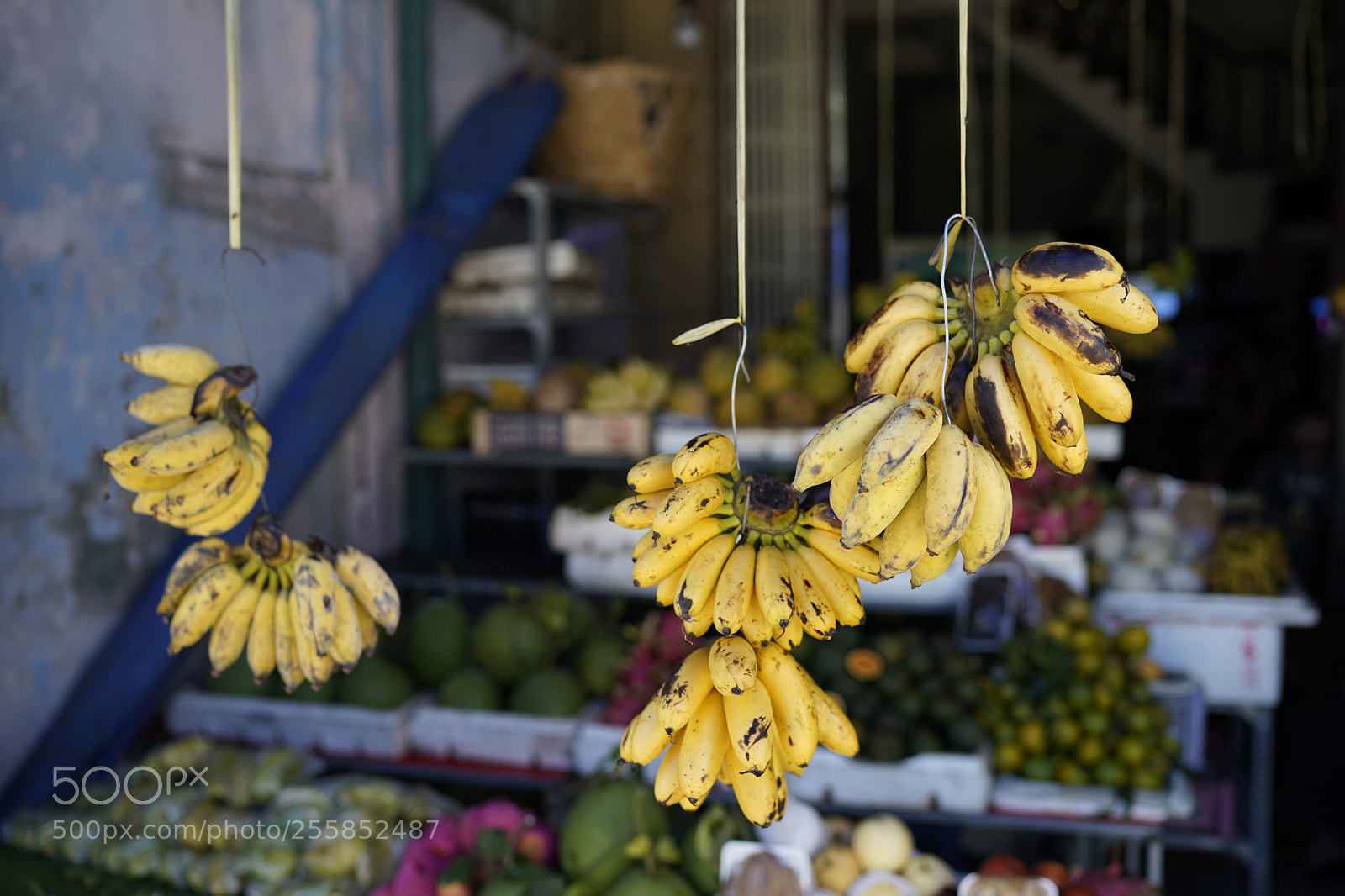 Sony a7 III sample photo. Untitled photography