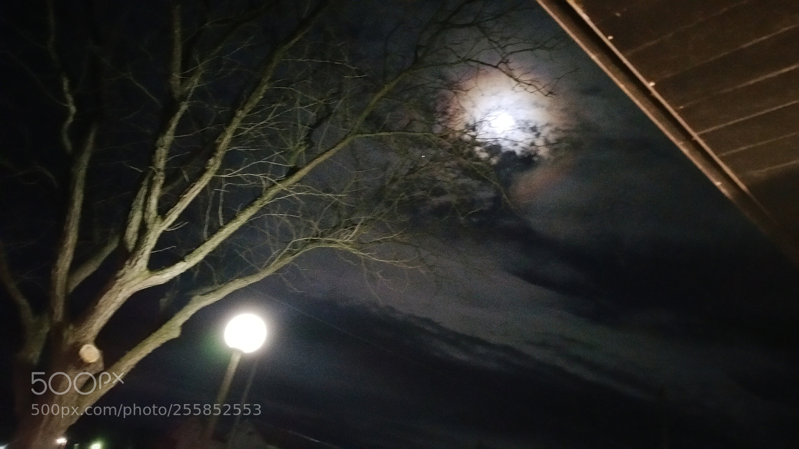 Samsung Galaxy Note4 sample photo. Untitled photography