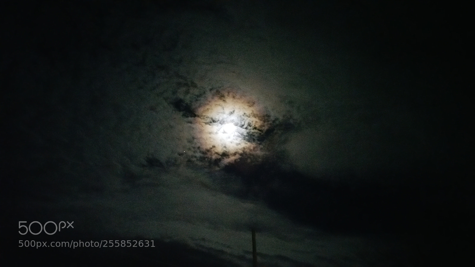 Samsung Galaxy Note4 sample photo. Untitled photography